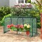 PE Metal Mini Tunnel Greenhouse with Roll-Up Door and Windproof Stakes